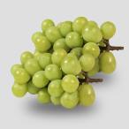  автомобиль in мускат 2. ввод /..... ферма / отсроченный платеж расчет не возможно / бесплатная доставка 