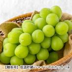 [.. для ] низкотемпературный . магазин автомобиль in мускат 1./.. кроме того, магазин виноград ./ бесплатная доставка 