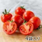  Niigata префектура производство средний шар помидор ( полный TIKKA )4 пакет ввод / отсроченный платеж расчет не возможно / пятна . сельское хозяйство ./ бесплатная доставка 