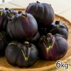  Nagaoka мешочек ..6kg/ отсроченный платеж расчет не возможно / пятна . сельское хозяйство ./ бесплатная доставка 