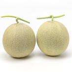  Niigata префектура производство поддон дыня 2 шар ввод / отсроченный платеж расчет не возможно /asatsuma ферма / бесплатная доставка 