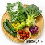  сезон. случайный овощи комплект 5 вид и больше / река . сельское хозяйство место / бесплатная доставка 