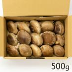  Niigata префектура производство сырой ....L размер 500g/ осень гора ферма / отсроченный платеж расчет не возможно / бесплатная доставка 