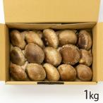  Niigata префектура производство сырой ....L размер 1kg/ осень гора ферма / отсроченный платеж расчет не возможно / бесплатная доставка 