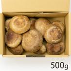  Niigata префектура производство сырой ....2L~3L размер 500g/ осень гора ферма / отсроченный платеж расчет не возможно / бесплатная доставка 