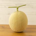 [.. для ]a-rus дыня 1 шар ввод / отсроченный платеж расчет не возможно /Ripi farm/ бесплатная доставка 