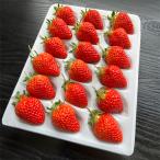 . после .L размер 1 упаковка ввод (1 упаковка на примерно 320g)/Ripi farm/ отсроченный платеж расчет не возможно / бесплатная доставка 