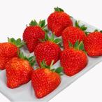 . после .4L размер 1 упаковка ввод (1 упаковка на примерно 450g)/Ripi farm/ отсроченный платеж расчет не возможно / бесплатная доставка 