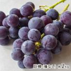 ..( вид нет ) примерно 2kg(3~7.)/ отсроченный платеж расчет не возможно /. протекать ... было использовано ./ бесплатная доставка 