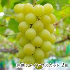 .. автомобиль in мускат 2.(1. на примерно 500~600g)/ отсроченный платеж расчет не возможно /. протекать ... было использовано ./ бесплатная доставка 