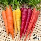  Niigata префектура производство осень морковь 2kg( orange * красный * желтый * фиолетовый морковь. средний из,3~4 вид . доставляем )/ отсроченный платеж расчет не возможно /. зонт . сельское хозяйство ./ бесплатная доставка 