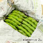 新潟県産そら豆 2kg/ドリーム和田/送料無料
