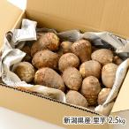  Niigata префектура производство таро 2.5kg/ Dream мир рисовое поле / бесплатная доставка 