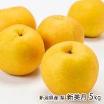  Niigata префектура производство груша новый прекрасный месяц 5kg(8~16 шар )/. .. ферма / бесплатная доставка 