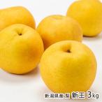  Niigata префектура производство груша новый .3kg(5~9 шар )/. .. ферма / бесплатная доставка 