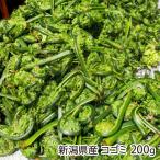  Niigata префектура производство ko мусор 200g/..... дикоросы ./ бесплатная доставка 