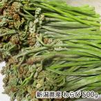  Niigata префектура производство ...500g/..... дикоросы ./ бесплатная доставка 