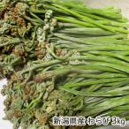  Niigata префектура производство ...3kg/..... дикоросы ./ бесплатная доставка 