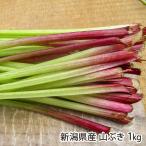 Niigata префектура производство гора ..1kg/..... дикоросы ./ бесплатная доставка 