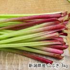  Niigata префектура производство гора ..3kg/..... дикоросы ./ бесплатная доставка 