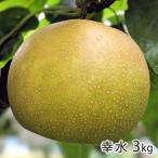 幸水 3kg（5〜9玉）/佐藤梨園/送料無料