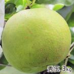 秀玉 3kg（5〜8玉）/佐藤梨園/送料無料