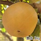 豊水 3kg（5〜9玉）/佐藤梨園/送料無料