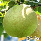 甘太 3kg（4〜8玉）/佐藤梨園/送料無料