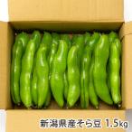  Niigata префектура производство боб садовый 1.5kg(40~50.)/ сельское хозяйство .Home/ отсроченный платеж расчет не возможно / бесплатная доставка 