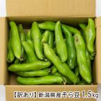 [ есть перевод ] Niigata префектура производство боб садовый 1.5kg(40~60.)/ сельское хозяйство .Home/ отсроченный платеж расчет не возможно / бесплатная доставка 