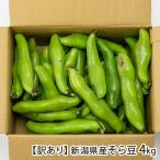 [ есть перевод ] Niigata префектура производство боб садовый 4kg(100~140.)/ сельское хозяйство .Home/ отсроченный платеж расчет не возможно / бесплатная доставка 