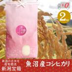 魚沼産コシヒカリ 2kg