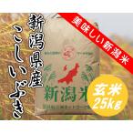 お米　新潟県産 こしいぶき　玄米25kg色彩選別済み　精米5kg×4　令和5年産　コシヒカリ系統　