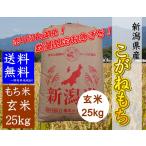 新潟県産 こがねもち　令和2年産  玄米 餅米「新潟の美味しい餅米」 (玄米　２５ｋｇ)