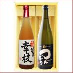 名入れ 梅酒 焼酎 オリジナル ギフト セット 720ｍｌ×2本 名前入り 新潟清酒仕込梅酒 つんぶり 米焼酎