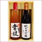 名入れ 梅酒 日本酒 オリジナルギフトセット 720ｍｌ×2本 名前入り 新潟清酒仕込梅酒 越後桜　純米大吟醸