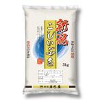 お米 新潟県産 こしいぶき 白米 5kg 令和6年産【本州送料無料】