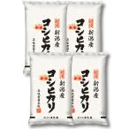 ショッピング新潟 お米 新潟県産 コシヒカリ 白米 20kg (5kg×4個) 令和5年産 【本州送料無料】