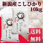 ショッピングお米 令和5年　こしひかり　お米　10kg　送料無料　新潟産こしひかり　10kg（5kg×2）　米　白米　お祝い　ギフト