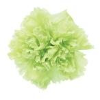  консервированный цветок стандартный гвоздика citrus зеленый 1 колесо нестандартный отправка возможность 