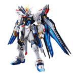 BANDAI RG 1/144 ストライクフリーダムガンダム[チタニウムフィニッシュ] プラモデル (ホビーオンラインショップ限定)