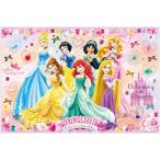 ske-ta- сиденье для отдыха S размер 60×90cm Disney Princess 24 девочка женщина . детский сад начальная школа ученик начальной школы . пара коврик сиденье водонепроницаемый compact 1 человек для 