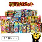  фейерверк. . тщательно отобранный .. фейерверк комплект .. цветок вспышка огонь комплект дуть ... фейерверк кемпинг лето праздник праздник. .. уличный двор O-Bon O-Bon фейерверк собрание 