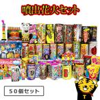 花火の虎厳選噴出花火セット 噴出花火 花火 セット 吹き出し花火 キャンプ 夏祭り お祭り はなび アウトドア 庭 お盆 御盆 花火大会