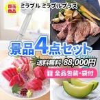 景品 ミラブルシャワーヘッドを目玉に貰って嬉しい豪華景品が詰まった景品4点セット 目録 結婚式 ゴルフコンペ ビンゴ 社内表彰 新年会