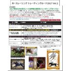 EPOCH ホースレーシングトレーディン