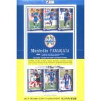 2011 Jリーグ カード チームエディション・メモラビリ