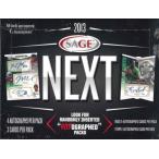 ■セール■2013 SAGE NEXT BOX