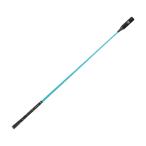 ショッピングダイヤ ダイヤゴルフ（DAIYA_GOLF） ダイヤスイングプロツアー TR5002 『練習器具』 ターコイズブルー 2025