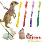 u.. шлейка с поводком комплект мелкие животные для шлейка с поводком комплект soft маленький домашнее животное хорек mi-a кошка тонн шиншилла белка заяц Prairie собака 